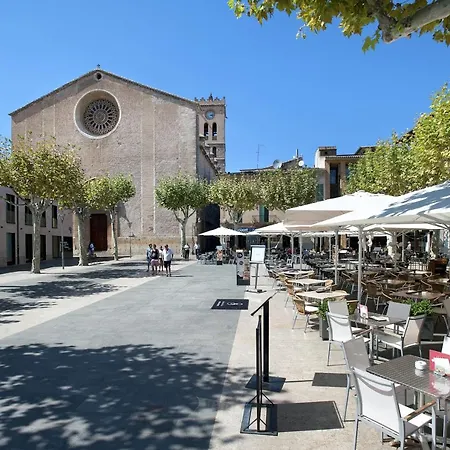 Owl Picasa Alt - Surounded By Nature * פוינסה