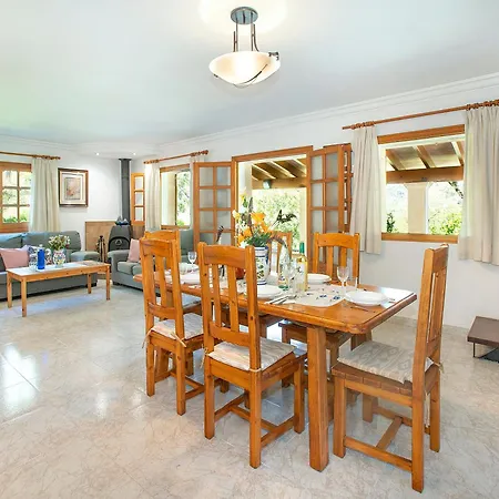 Owl Picasa Alt - Surounded By Nature