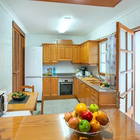 Owl Picasa Alt - Surounded By Nature * פוינסה