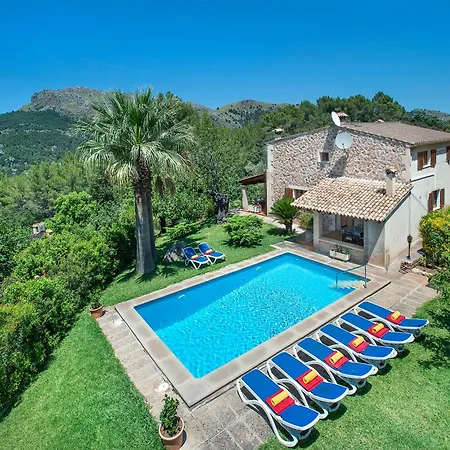 Owl Picasa Alt - Surounded By Nature *