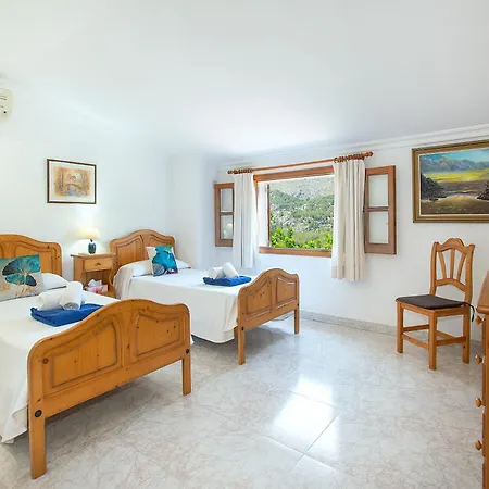 Owl Picasa Alt - Surounded By Nature *