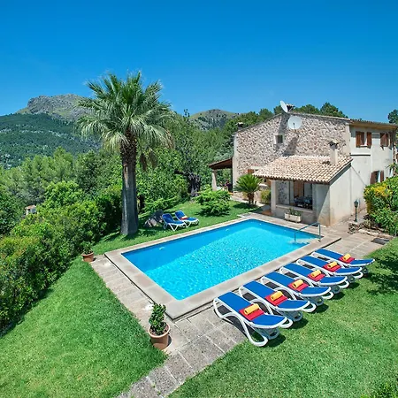 Owl Picasa Alt - Surounded By Nature * פוינסה