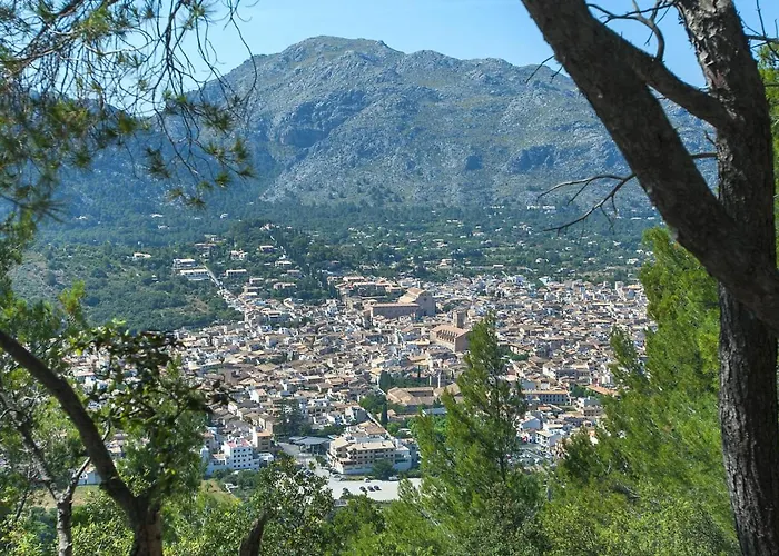 Owl Picasa Alt - Surounded By Nature Villa Pollença