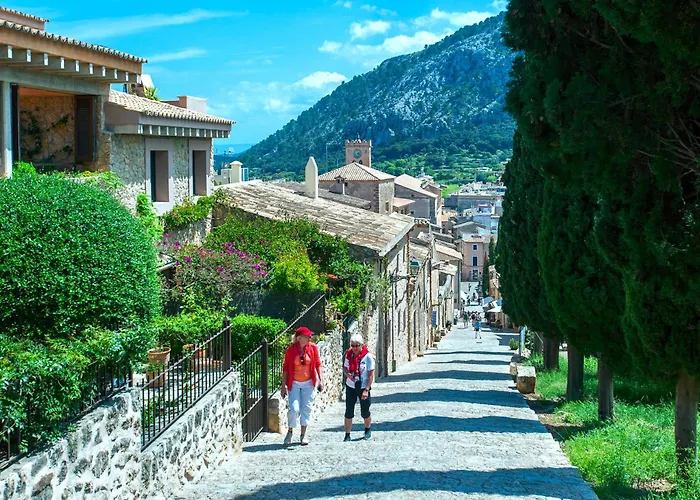 Owl Picasa Alt - Surounded By Nature * Pollença