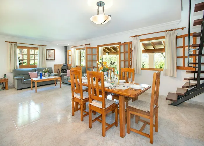 Owl Picasa Alt - Surounded By Nature