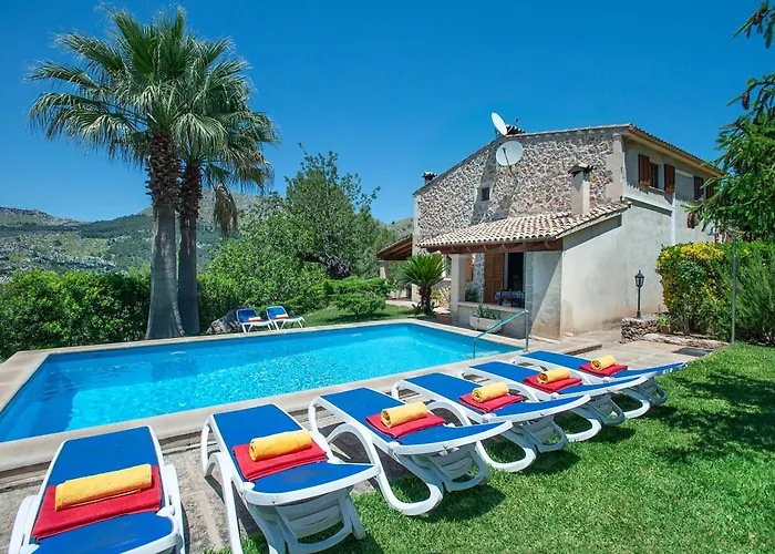 Owl Picasa Alt - Surounded By Nature *