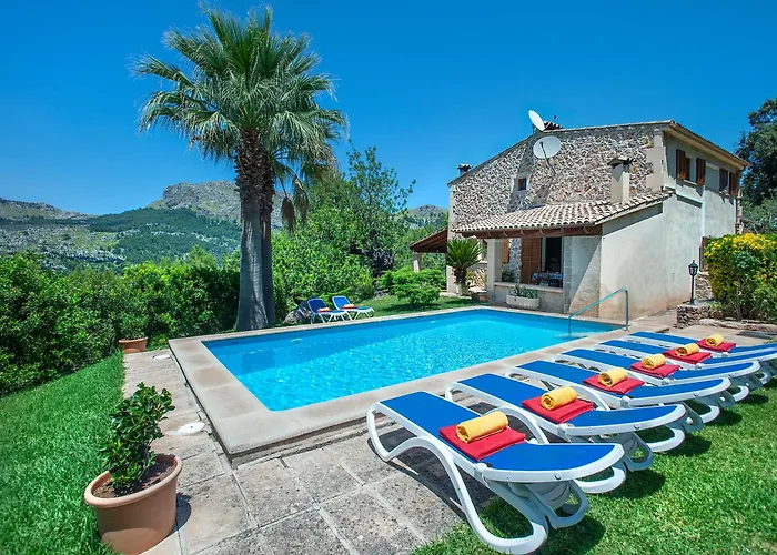 Owl Picasa Alt - Surounded By Nature * Pollença