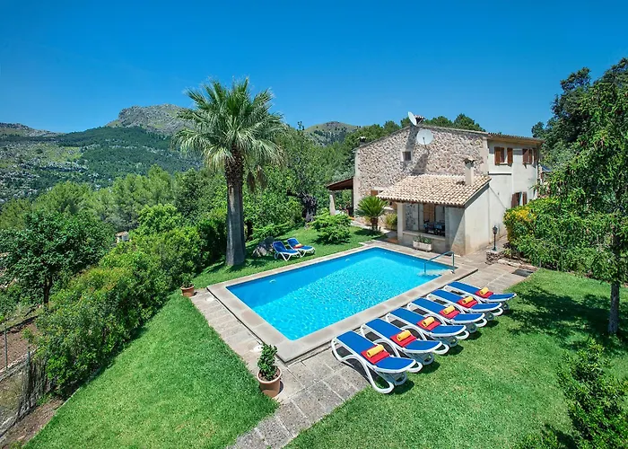 Owl Picasa Alt - Surounded By Nature * Pollença