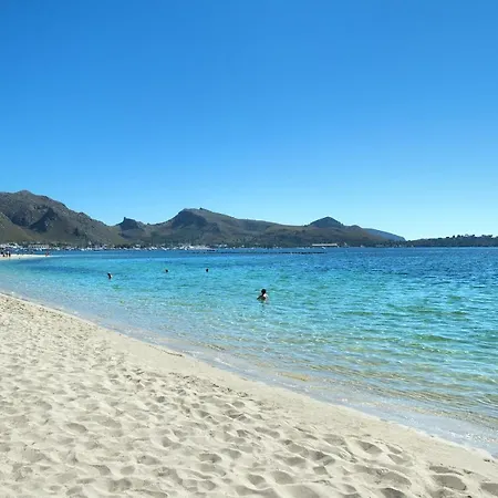 Owl Picasa Alt - Surounded By Nature 波连斯萨