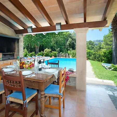 Owl Picasa Alt - Surounded By Nature Pollenca