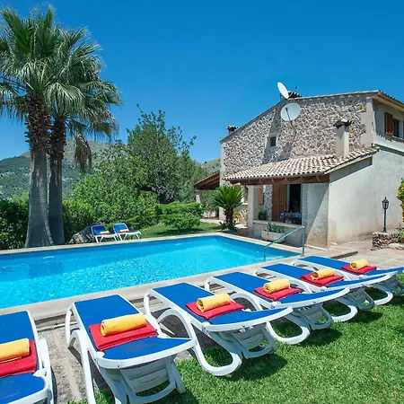 Owl Picasa Alt - Surounded By Nature *