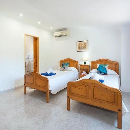 Owl Picasa Alt - Surounded By Nature