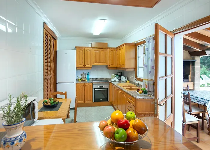 Owl Picasa Alt - Surounded By Nature * ポレンサ