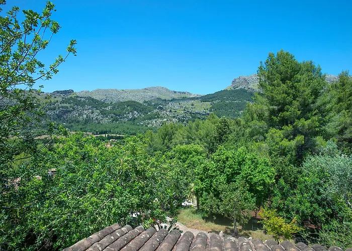 Villa Owl Picasa Alt - Surounded By Nature *