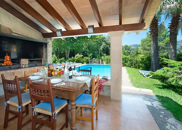 Owl Picasa Alt - Surounded By Nature Pollenca