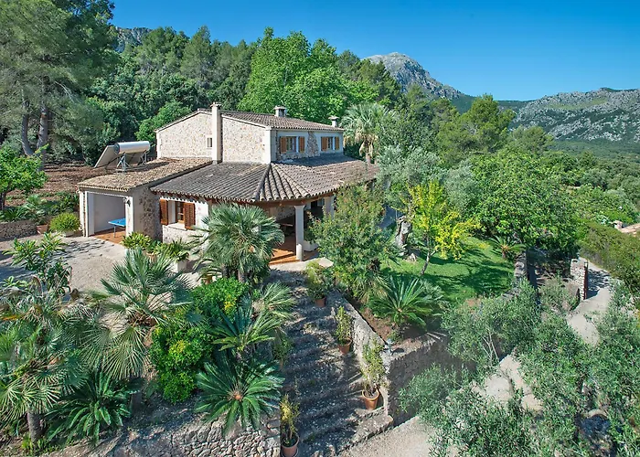 Villa Owl Picasa Alt - Surounded By Nature