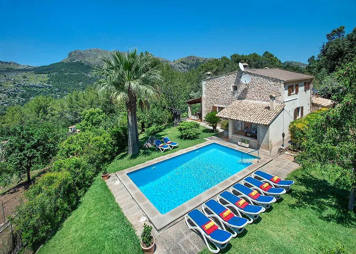 Owl Picasa Alt - Surounded By Nature *