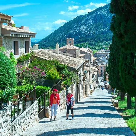 Owl Picasa Alt - Surounded By Nature * Pollença