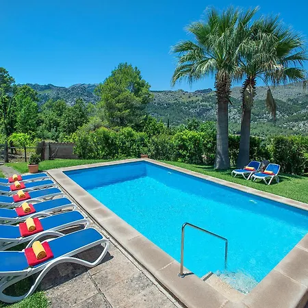 Owl Picasa Alt - Surounded By Nature *