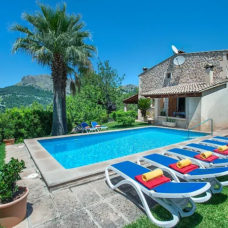 Owl Picasa Alt - Surounded By Nature * Pollença