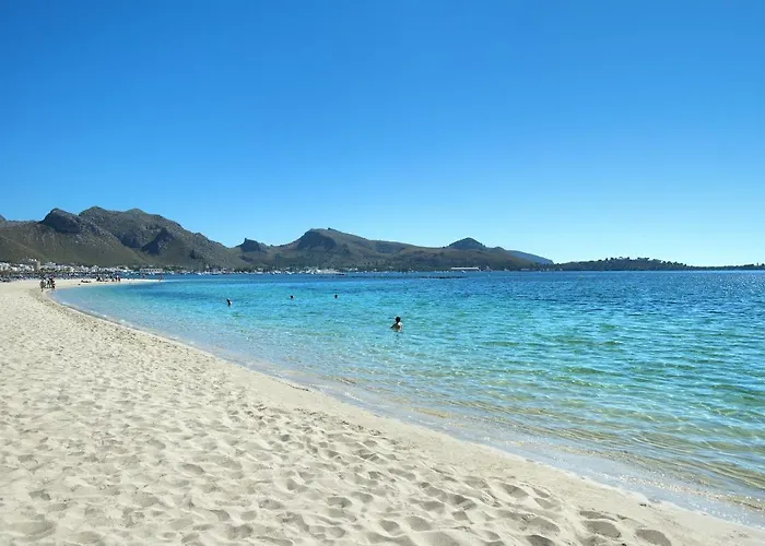 Owl Picasa Alt - Surounded By Nature Pollensa