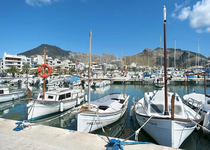 Owl Picasa Alt - Surounded By Nature Willa