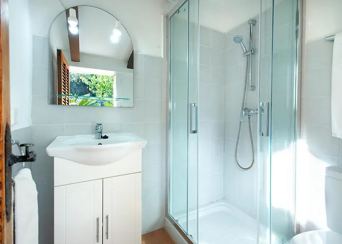 Owl Picasa Alt - Surounded By Nature Willa