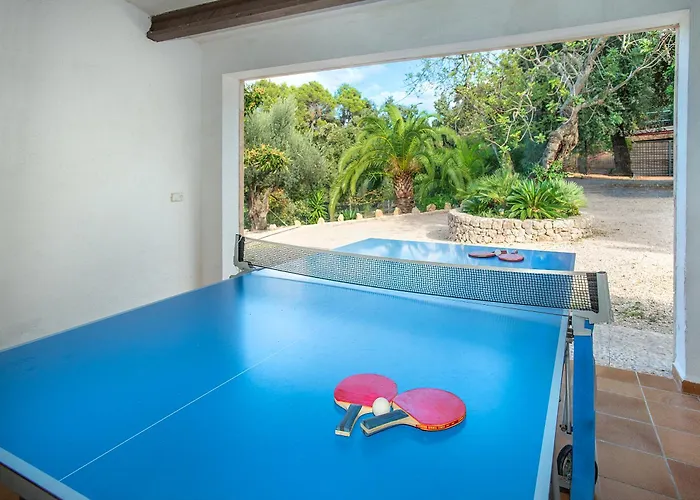 Owl Picasa Alt - Surounded By Nature Willa