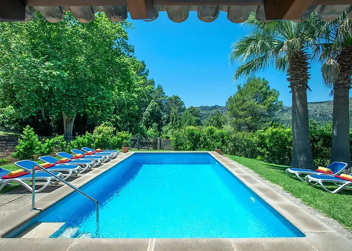 Owl Picasa Alt - Surounded By Nature Willa Pollensa