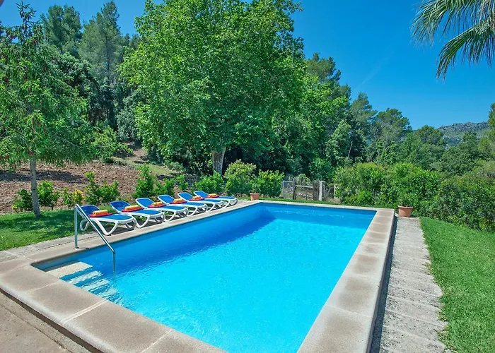 Willa Owl Picasa Alt - Surounded By Nature Pollensa