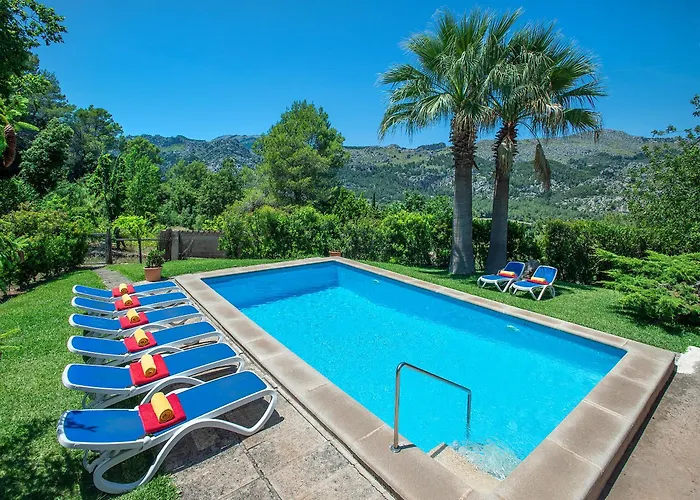 Owl Picasa Alt - Surounded By Nature *