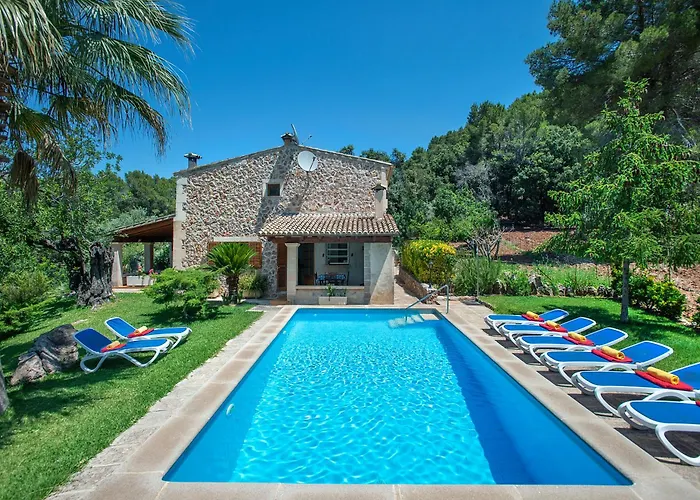 Owl Picasa Alt - Surounded By Nature Willa Pollensa